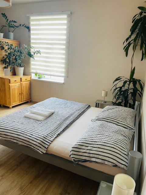Apartman Lucian Praha Bagian luar foto